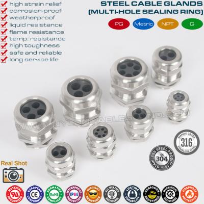 IP68 Brass Multi-Hole Cable Glands, 304/316 Stainless Cable Glands PG & Metric c/w Multi-Orifice (Multi-Entry) Seal