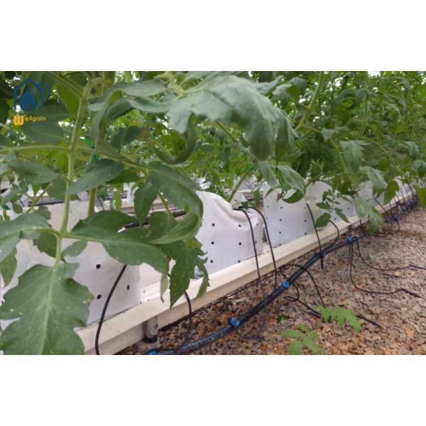 PVC Hydroponic Trough Systems Vertical Planting Hydroponic Systems For Tomatoes