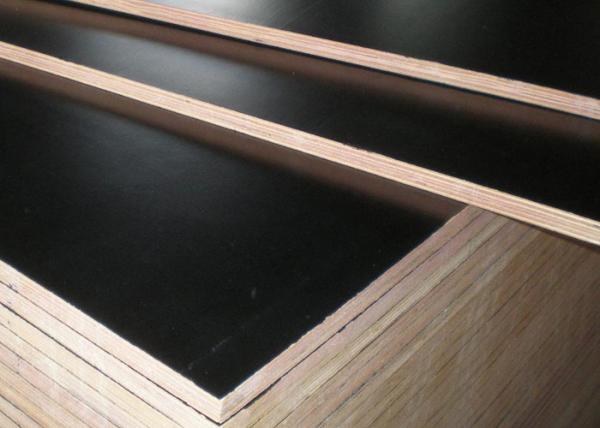 E1 Maple Dynea Film Faced Plywood