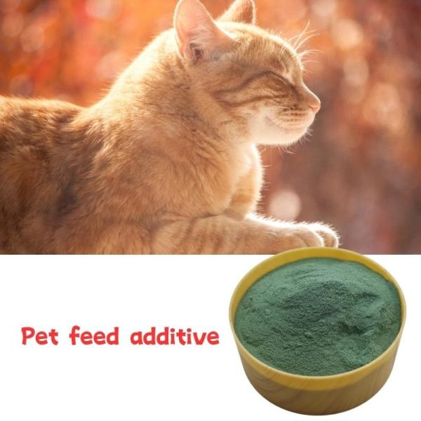O animal de estimação orgânico do animal do cromo do ácido aminado alimenta o pó verde aditivo CrMet levemente solúvel