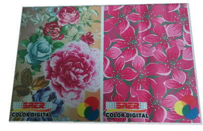Advertising Dye Epson Head Printer For Digital Fabric Printing