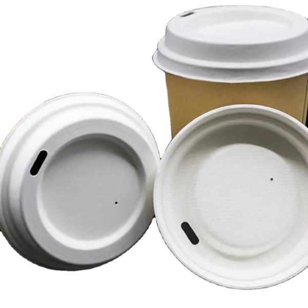 Paper Water Cups 90mm Disposable Bagasse Cup with Lids for Sale