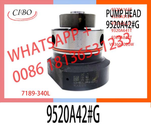 Bomba de injecção de combustível diesel de alta qualidade DPA cabeça rotor 7189-340L para 9520A42#G