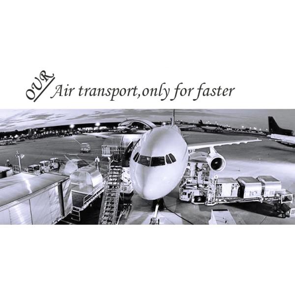 Body Wave Pre Plucked Full Lace Human Hair Wig Grade 8A Resilient Long Lasting