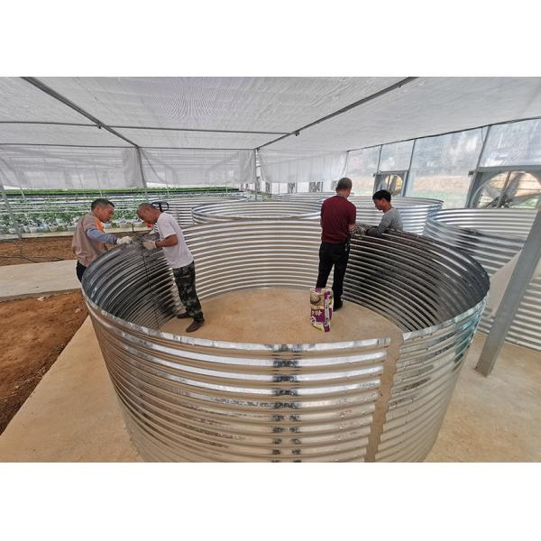 Industrial Indoor Recirculating Aquaculture System 7kg/M³ Shrimp Density 30% Faster Growth