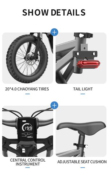 2000 Watt Fat Tire Electric Bike 48V 30AH Powerful Mountain Electric Bicycle