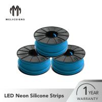 luzes de néon da tira do diodo emissor de luz de 50M Length Blue para a propaganda exterior