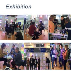 Shenzhen Qingchen Light Technology Co., Limited