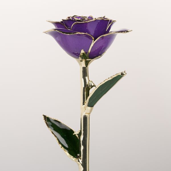 24k Gold Trimmed Rose  Preserved Fresh Flower  Resin Preservation Eternal Rose Mother's Day Valentine's Day Christmas Gif