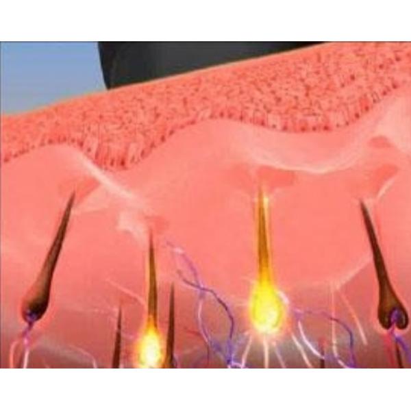 Beauty Salon Diode Laser Hair Removal Machine IPL / SHR Technology With LCD Display