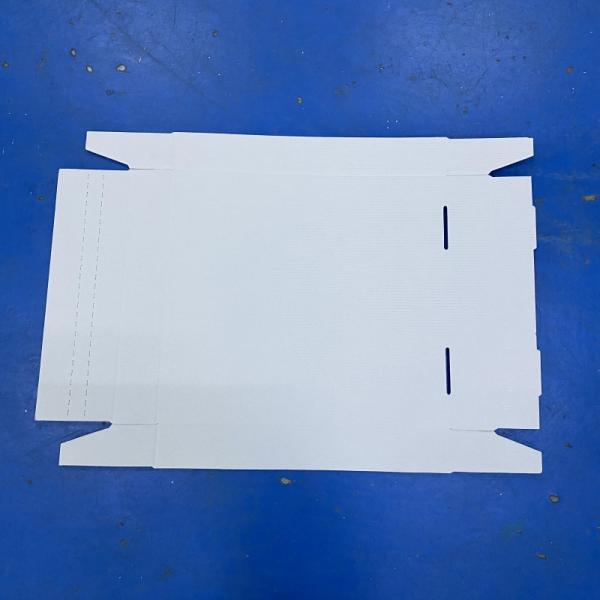 Полностью автоматическая складная машина для картонных коробок 380 В