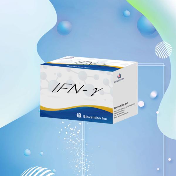 Lab research Elisa Reagents Kit for Human use IFN-γ Elisa Reagents High sensitivity
