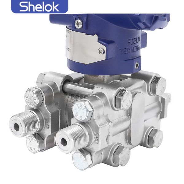 3051 Gauge Pressure Transmitter 4-20mADC HART Protocol OEM Customized Digital Display Industrial Durable