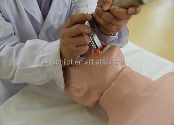 Electronic Type Elderly CPR and Intubation Training Manikin for Lifesaving Techniques