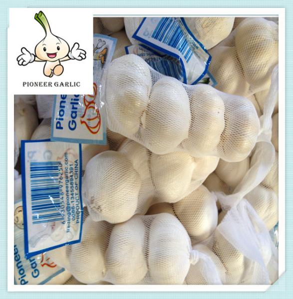 Natural Garlic With Good Quality In China garlic price for new crop natural garlic