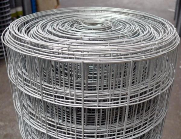 Galvanized Hardware Heavy Duty Weld Mesh Cloth With Size Of 1/4 Inch - 6 Inch