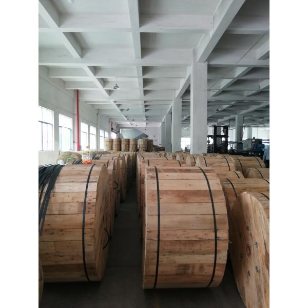 Armored GYFTC8S G652D Figure 8 Fiber Optic Cable