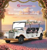 Carro Clássico de Casamento Branco 4kw Motor 100km Endurance Certificação CE