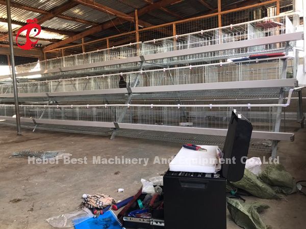 Клетка птицы Semi автоматических птиц клетки 15000 слоя птицы ручная в радужке Нигерии