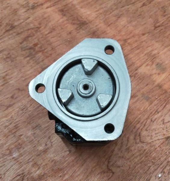 Feed Pump 23532981 for Engine S60