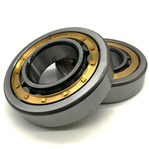 NJ428E NJ428EM Cylindrical Roller Bearing NJ428 NJ428EM/C4 For Vibrating Screeng