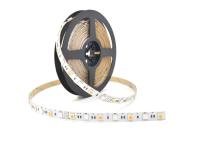 Les couleurs multi colorent l'approbation menée changeante de Rohs de la CE des lumières SMD 5050 RGB+W 60 LED de ruban