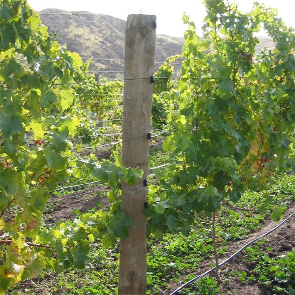 Черный удар термической стабильности провода ЛЮБИМЦА земледелия ISO9001 - устойчивый