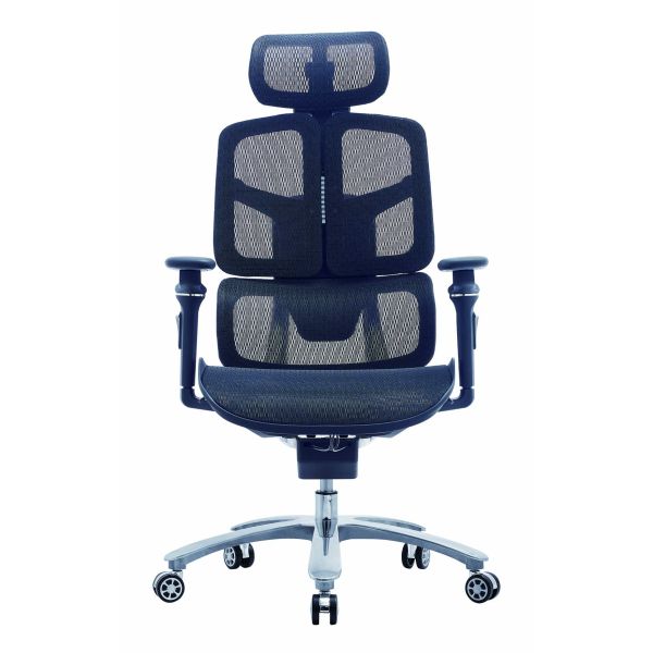 Modern Ergonomic Full Mesh Chair 6D Armrest 2D Lumbar Office Chair