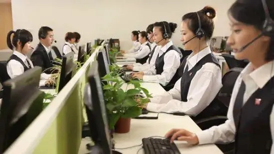 Biodegradable Plant Fiber Wood Cellulose Fiber Onsite Inspection