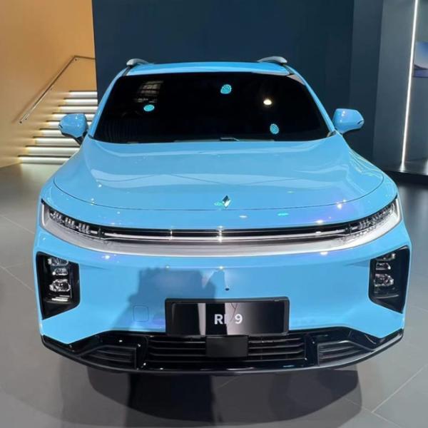 Carro elétrico de 6 lugares SUV elétrico de grande capacidade RL9 Long Range Carro de aplicação múltipla