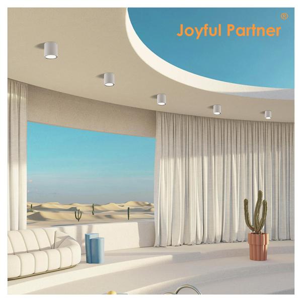 Spot Garden LED Ceiling Light Surface Mounted Cylindrical Aluminum 220V 8W 3000K Warm White