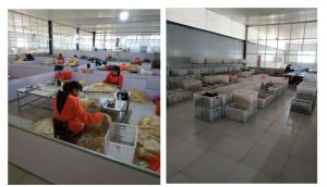 Jinan Xuanzi Human Hair Limited Company