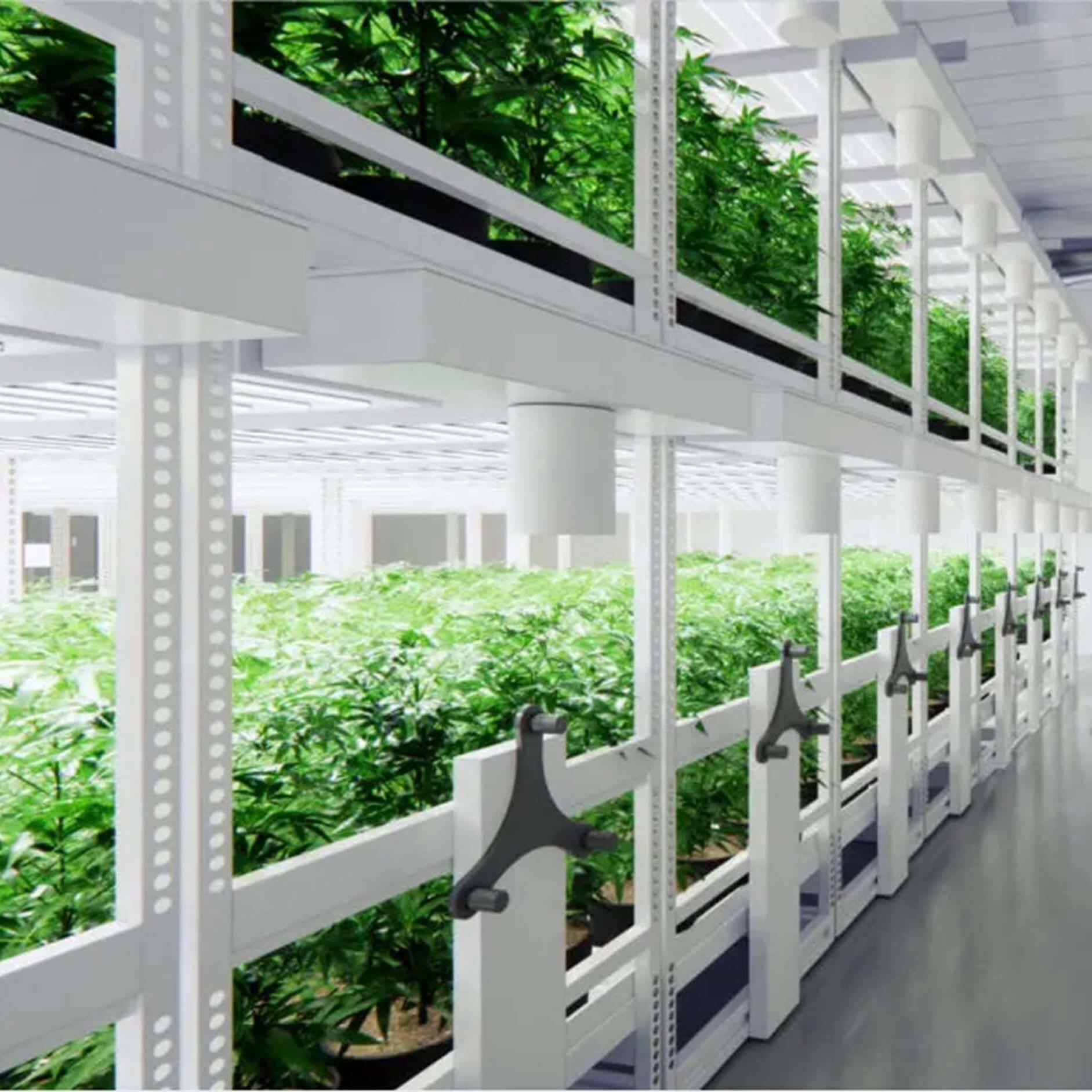 Indoor Farming - Vertical Grow System
