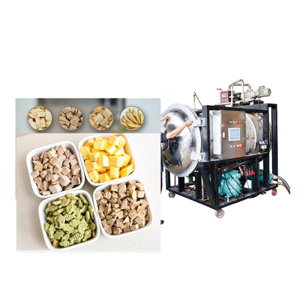  Vacuum Industrial Scale Freeze Dryer 300Kg