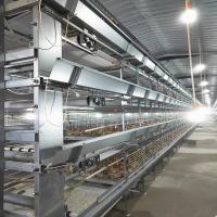 equipamento automático da grelha de 380V 50HZ para a aprovação da casa de galinha SONCAP