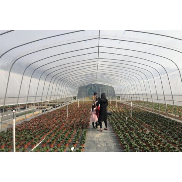 UV Block Plastic Covering Greenhouse Galvanized Steel Frame Greenhouses For Commercial Agriculture