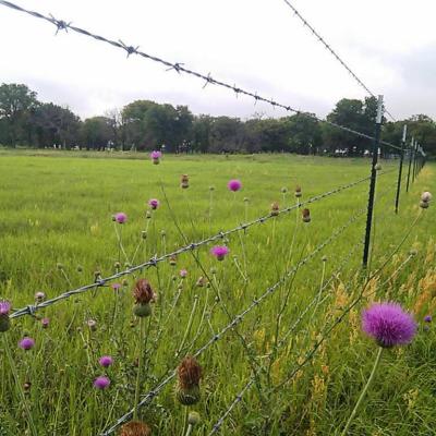 Reliable Quality Barbed Wire Chain Link Fence Galvanized Surface Treatment