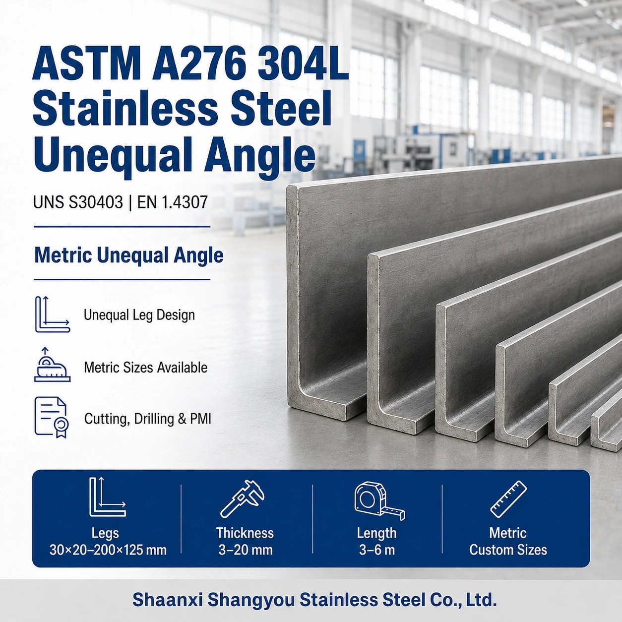 ASTM A276 304L Stainless Steel Unequal Angle in Metric Sizes