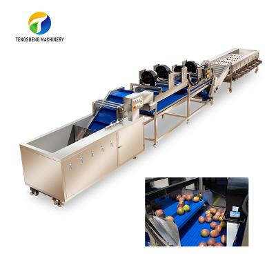Linha de processamento de pulverização de alta tensão degradação residual industrial das frutas e legumes de Tengsheng