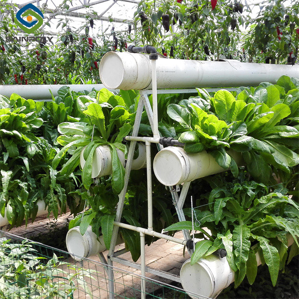 Weather Resistance Hydroponic System Greenhouse Multispan For Planting