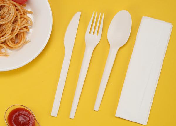 Suyuan Hot Sale Disposable Cutlery Compostable Fork Soup Spoon Biodegradable Dinnerware