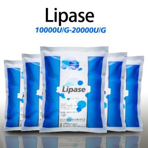 Enzyme lipase hydrosoluble dans le pain 10000U/G-20000U/G poudre