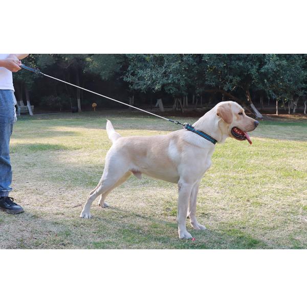 Comfortable Soft Padded 4FT Pet Leash Metal Anti Chew Leash Strong Anti Bite