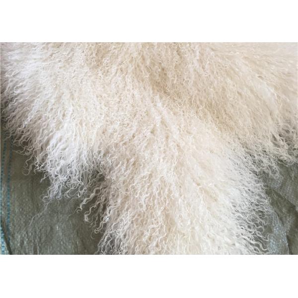 Мех длинного курчавого ламбсвоол овчины материального естественного белого тибетского монгольское прячет