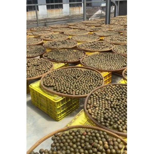 Écorce de Citrus Séchée de Culture Naturelle, Médecine Chinoise pour la Santé