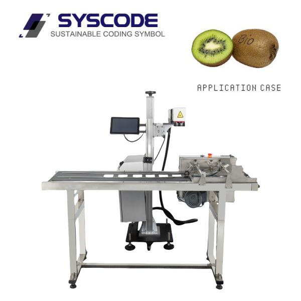 Food Industry UV Laser Cutting Machine Touchscreen 10 Watt Smooth Operation