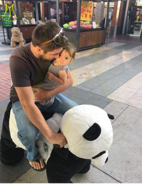 Hansel coin operated animal joy rides happy rides on animals electric motorized walking animal rides