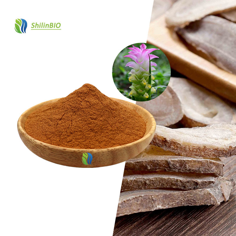 SLBIO Supply 10:1 20:1 30:1 Curcuma Aromatica Extract Powder