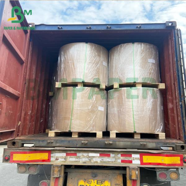 одиночным бортовым покрытая PE белая бумага бумажных шаров чашки 180gsm + 18gsm