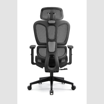 Ergonomic Office Executive Chair with Adjustable Lumbar Support Breathable Mesh Back and Comfortable Seat for Long Hours